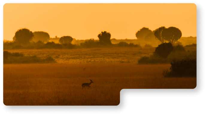 wizoo 夕景