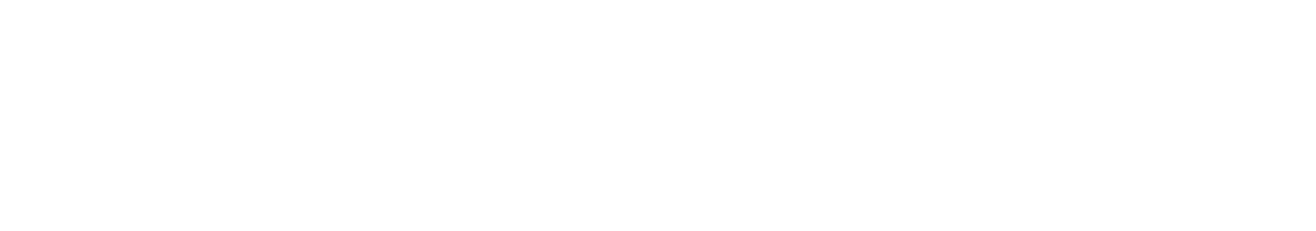 wizoo+